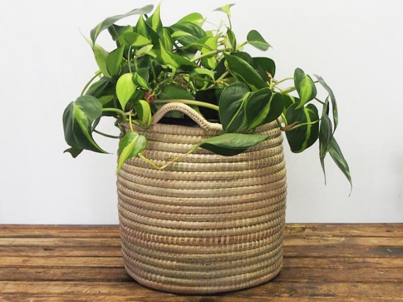 Malawi Basket - Small - Round Natural Malawi Basket - Small - Round Natural